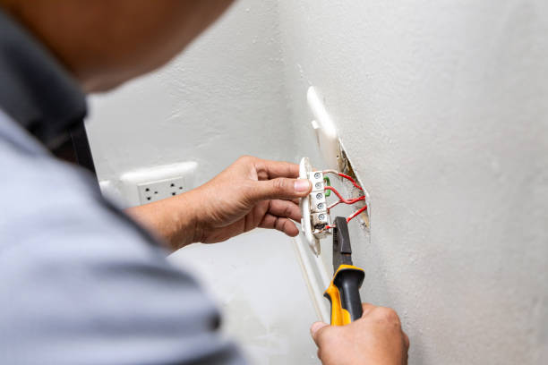 Best Home Electrical Repair  in Mazomanie, WI